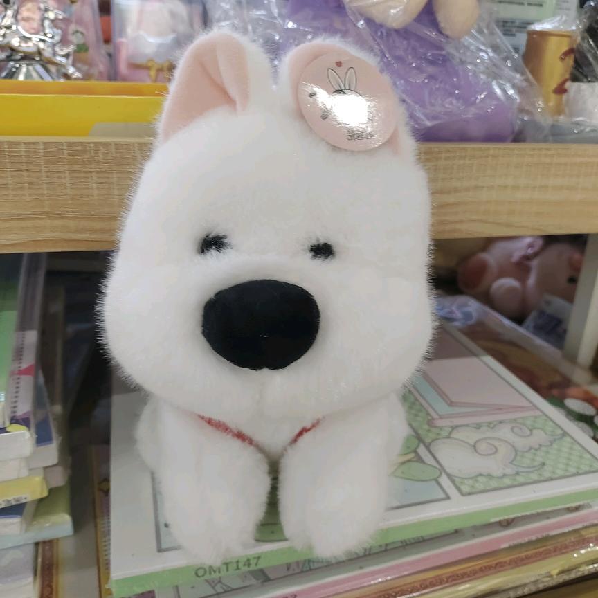先来一天