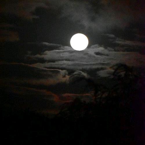 এ杯中烈酒໌ᮨ🚬敬余生🍶དྷ༗࿐