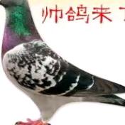 架工操作