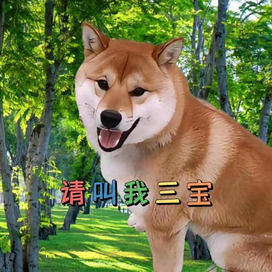 三宝祝你旺 (抖音正能量)