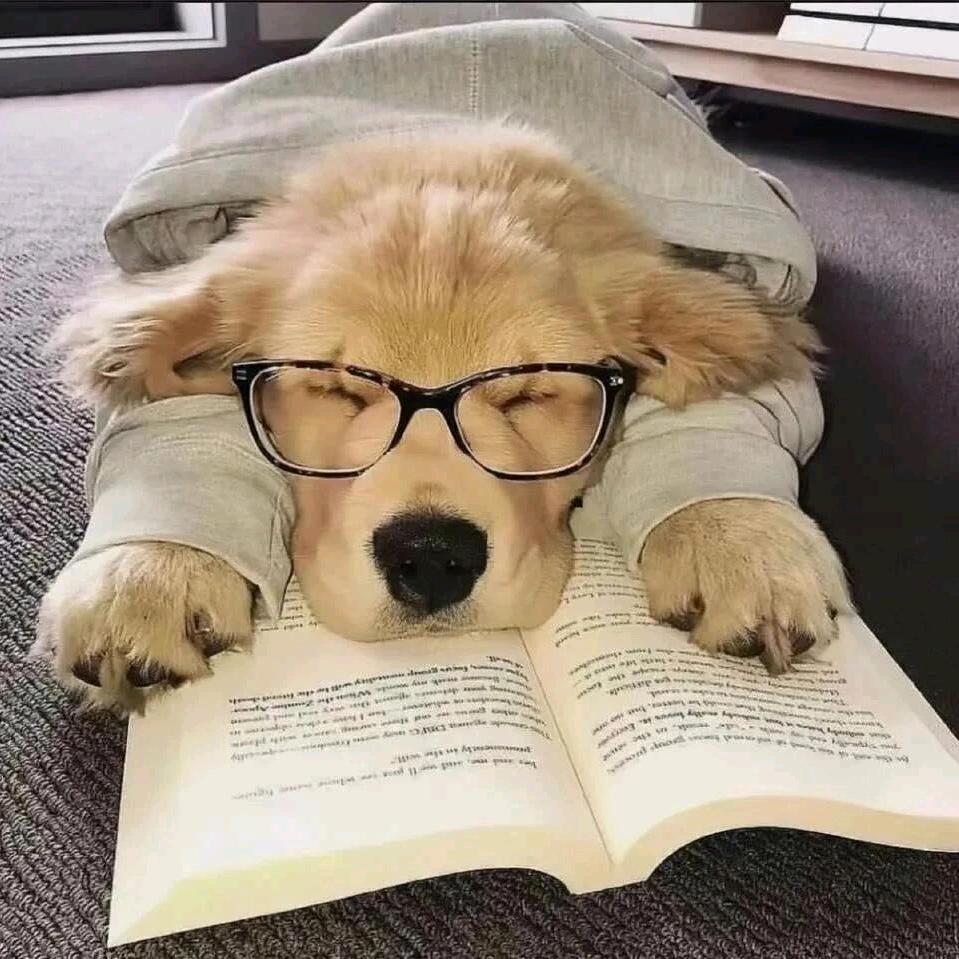 我是谁我也不知道