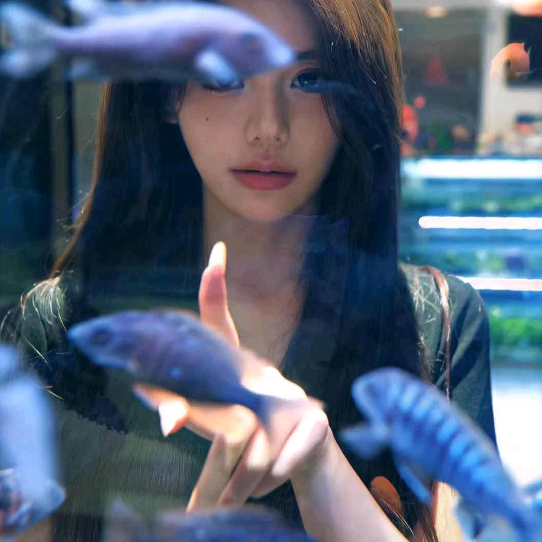 临期鱼.