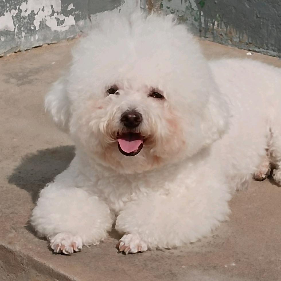 风不动九木常青