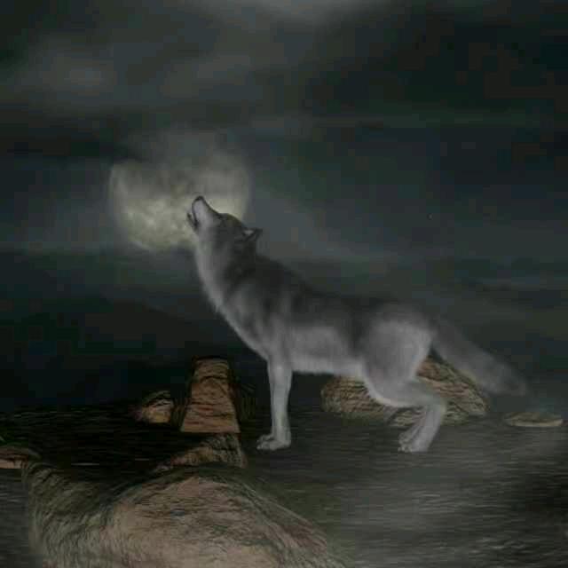 卖鸭脖的， 珂珂