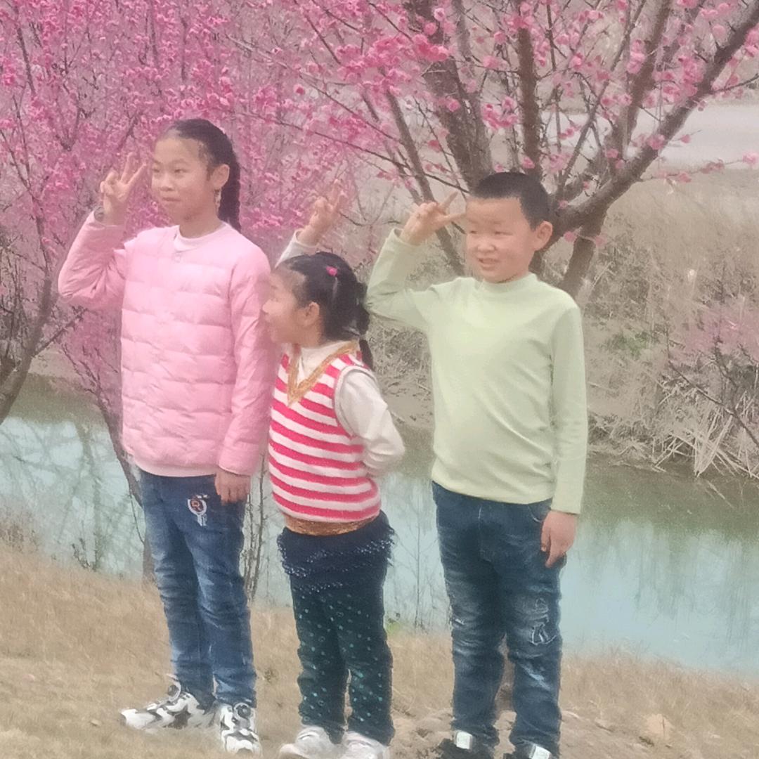光头刘