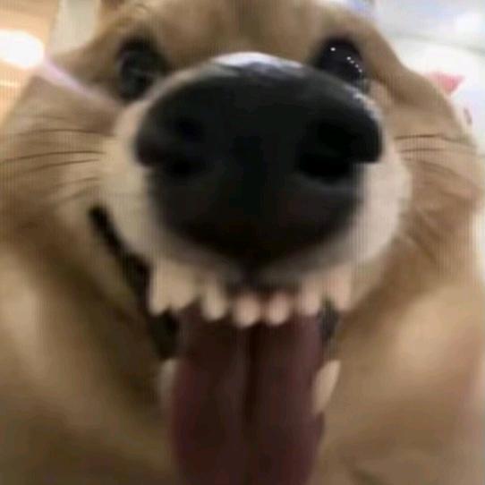 不就起个名字嘛