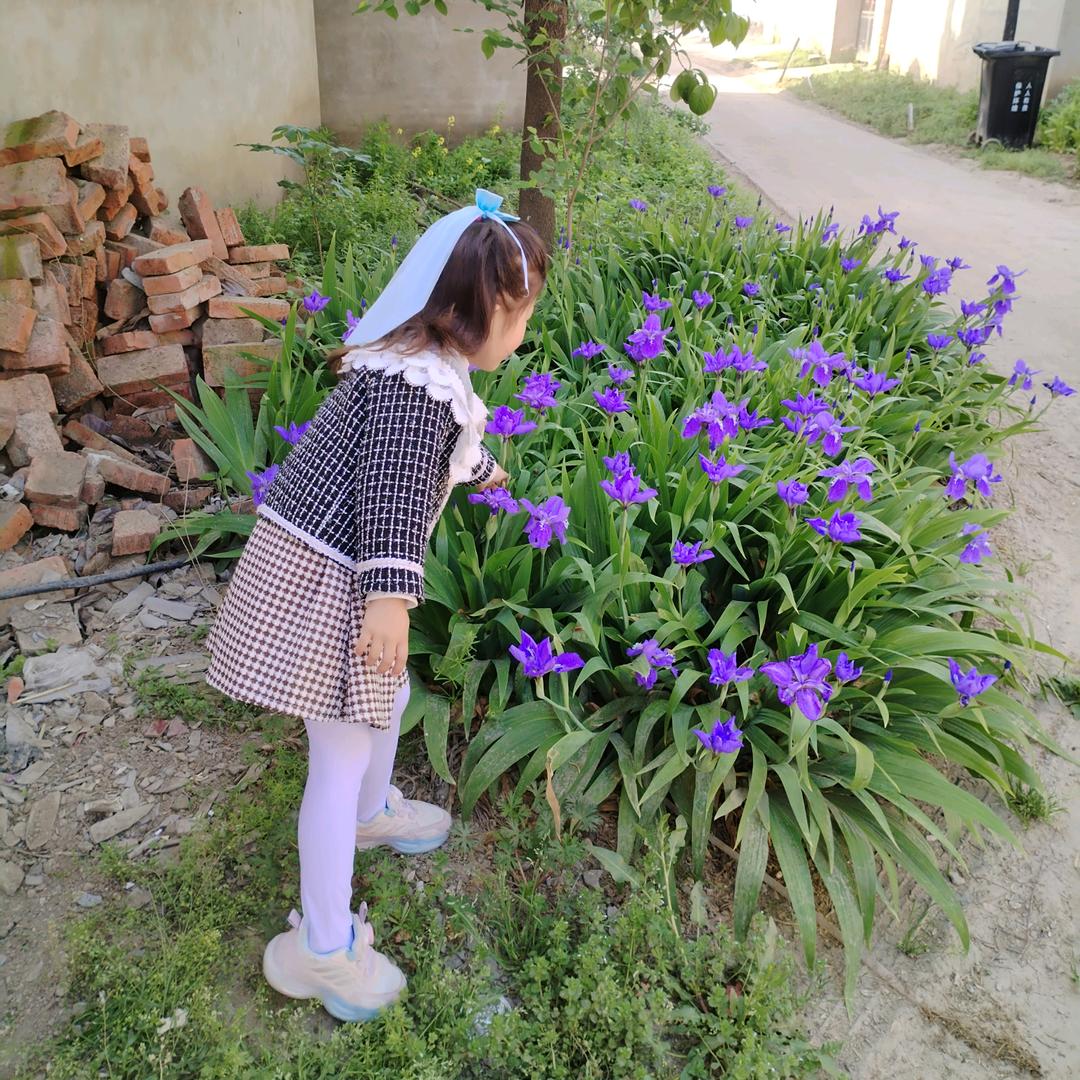 💗᭄何必🕊꯭᭄꯭ꦿ在忆