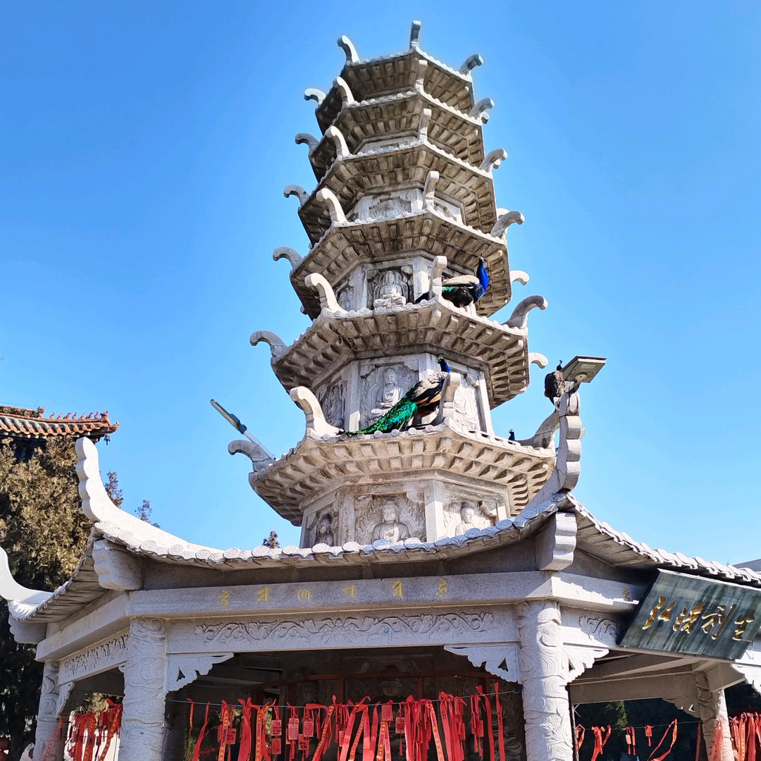 美丽家园头像