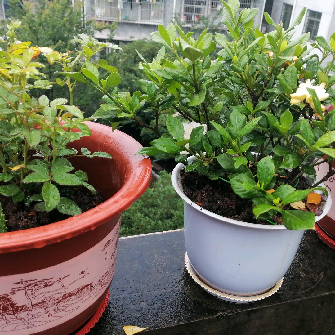 永顺县新思维培优辅导中心