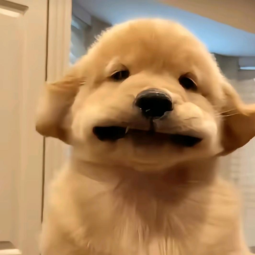 小宇