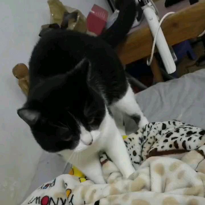 盲k