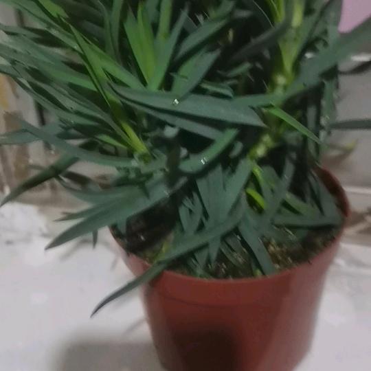 继续改变自己