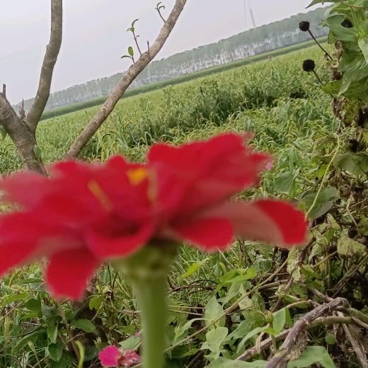 沉默是金🍎🍎🍎