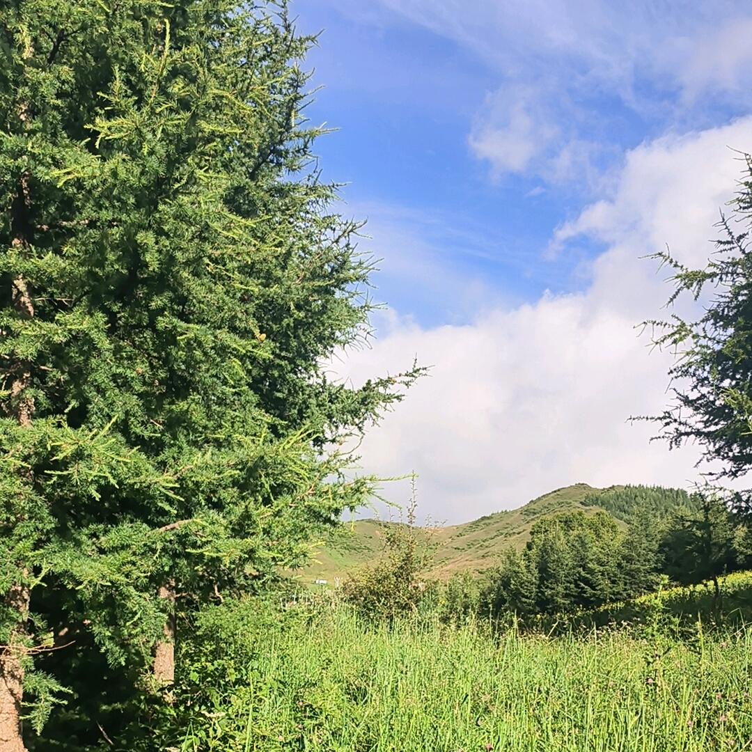 武都皇家马瓷砖