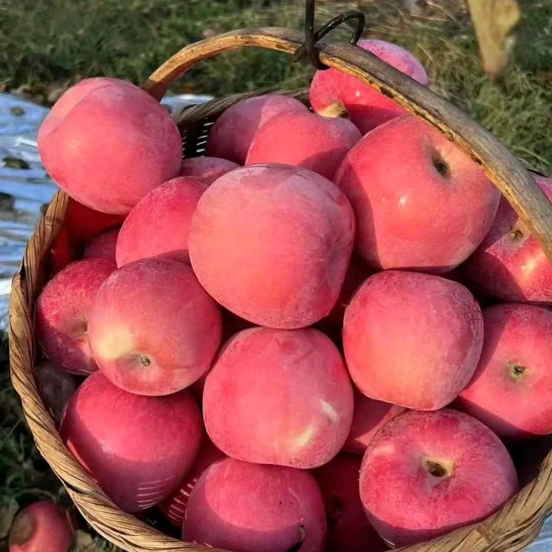 我的生活好物分享