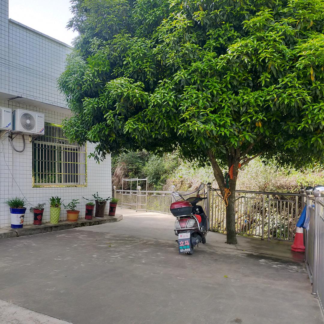 不忘初心🦅⁶¹⁹