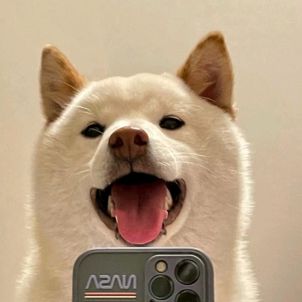 天剑奇缘-威武麟