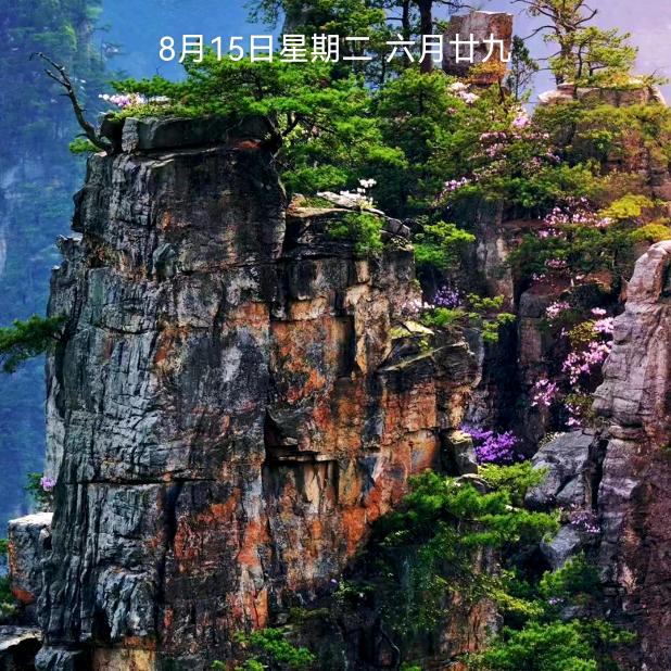 永缘相伴🌹🌹🌹🐈🐕💐