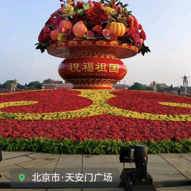 一往情深
