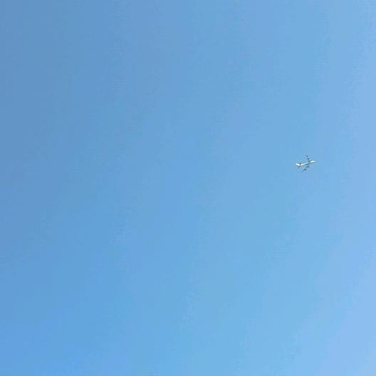 勤贼先擒王先森