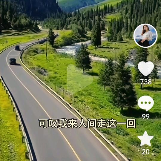 顺其自然🐯