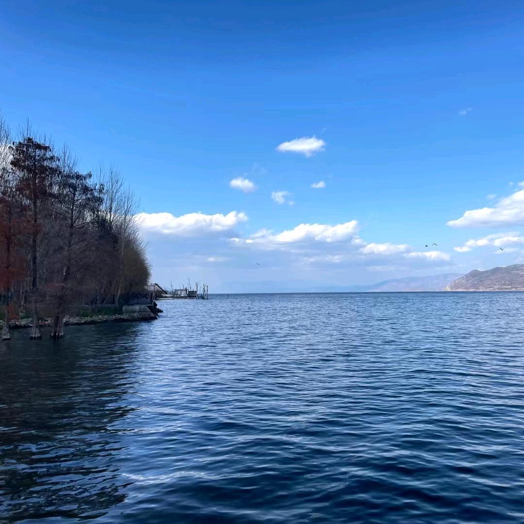 人生如茶 初尝苦涩