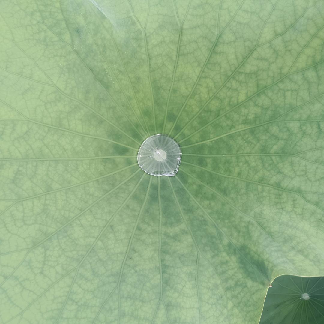 好地方