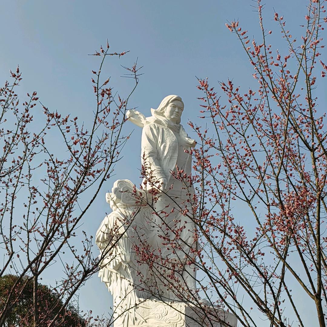 不倒胡杨林头像