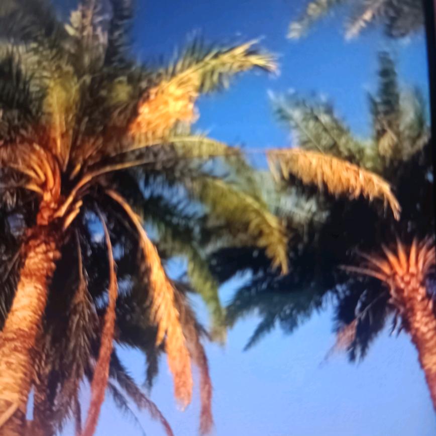 霞儿
