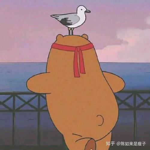 雨 後 💤