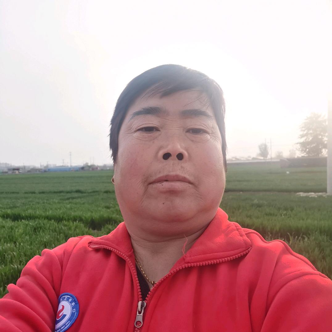 才芹姐