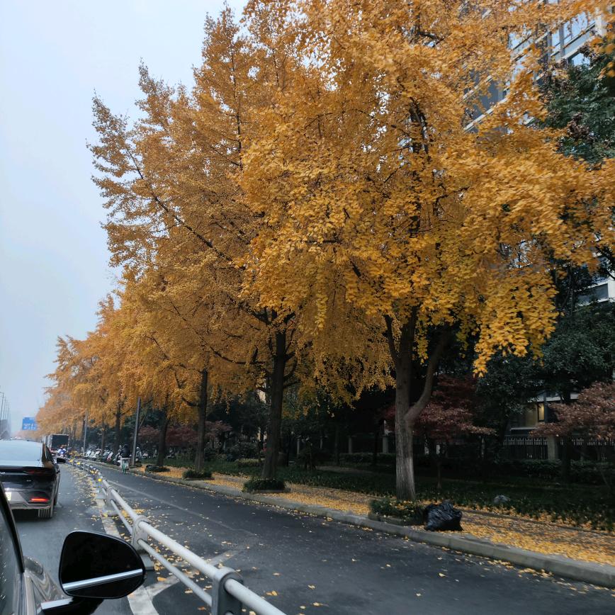 平淡一生