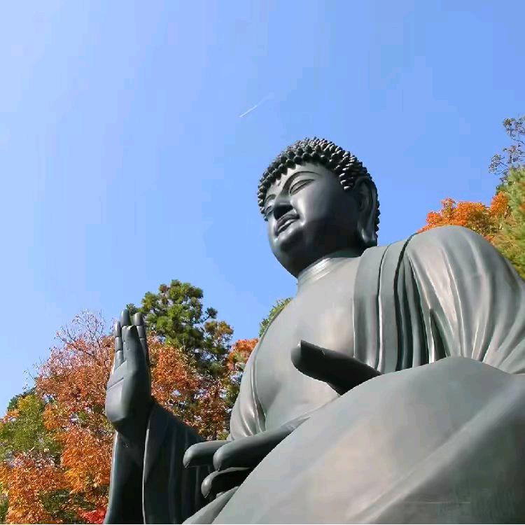淮南老李花茶直销