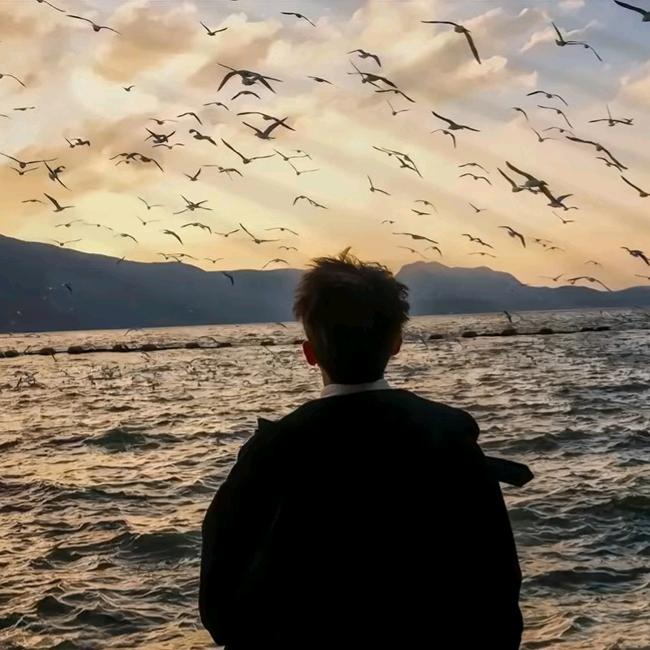 高冷的哈密瓜😔