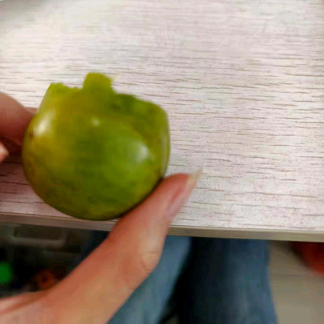 T^T(SSY)睡不着版
