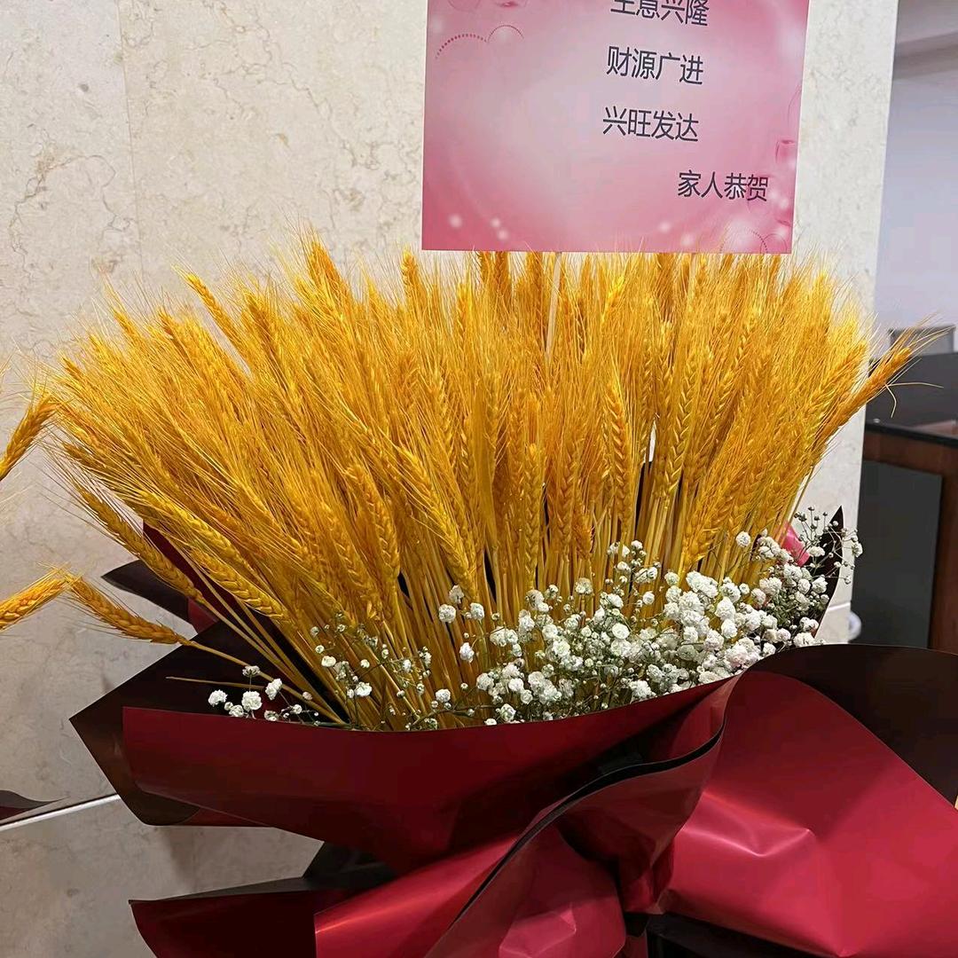 宝贝姥姥