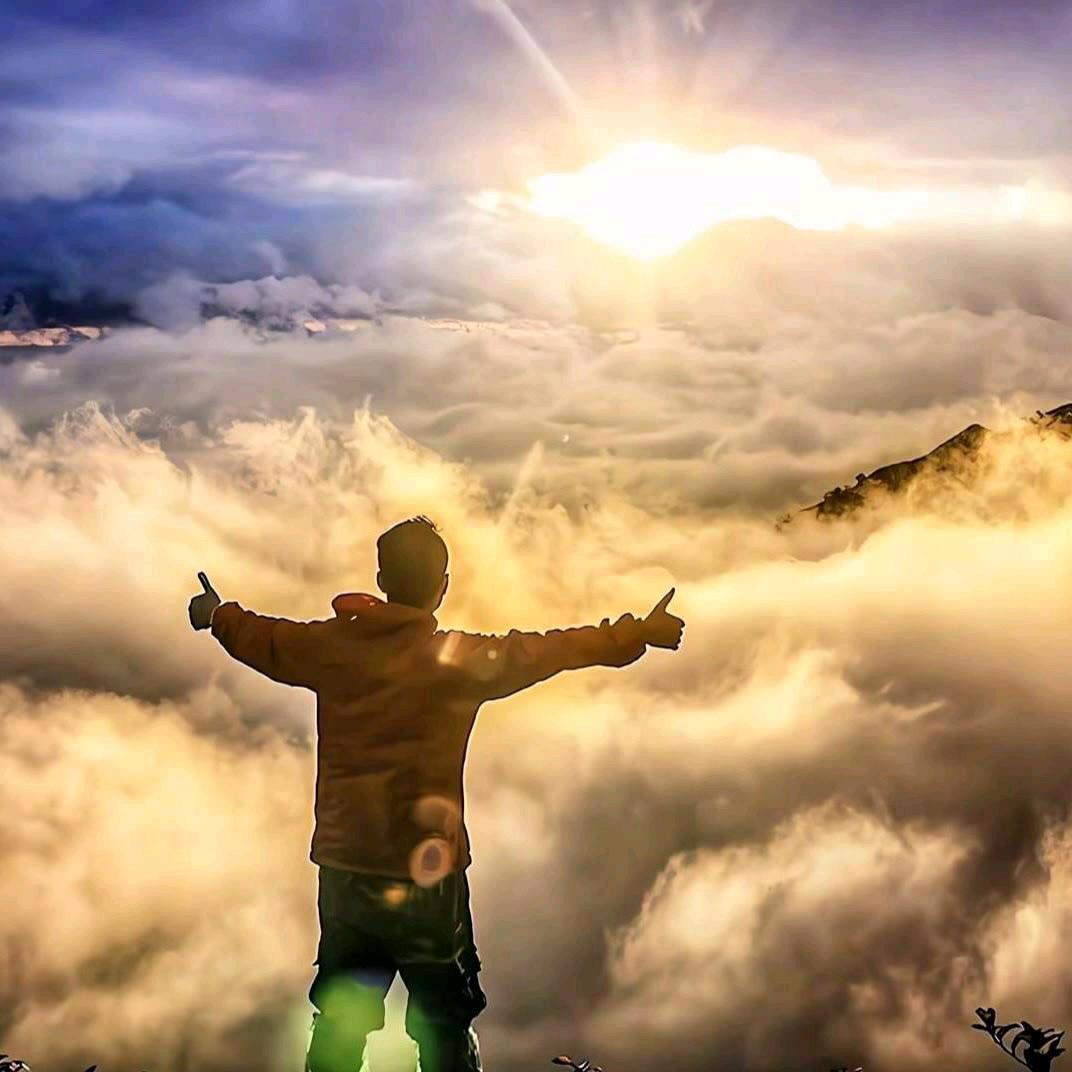 逐光前行，向阳而生