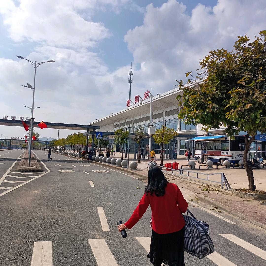 红姐 临时查货队每晚7点首播