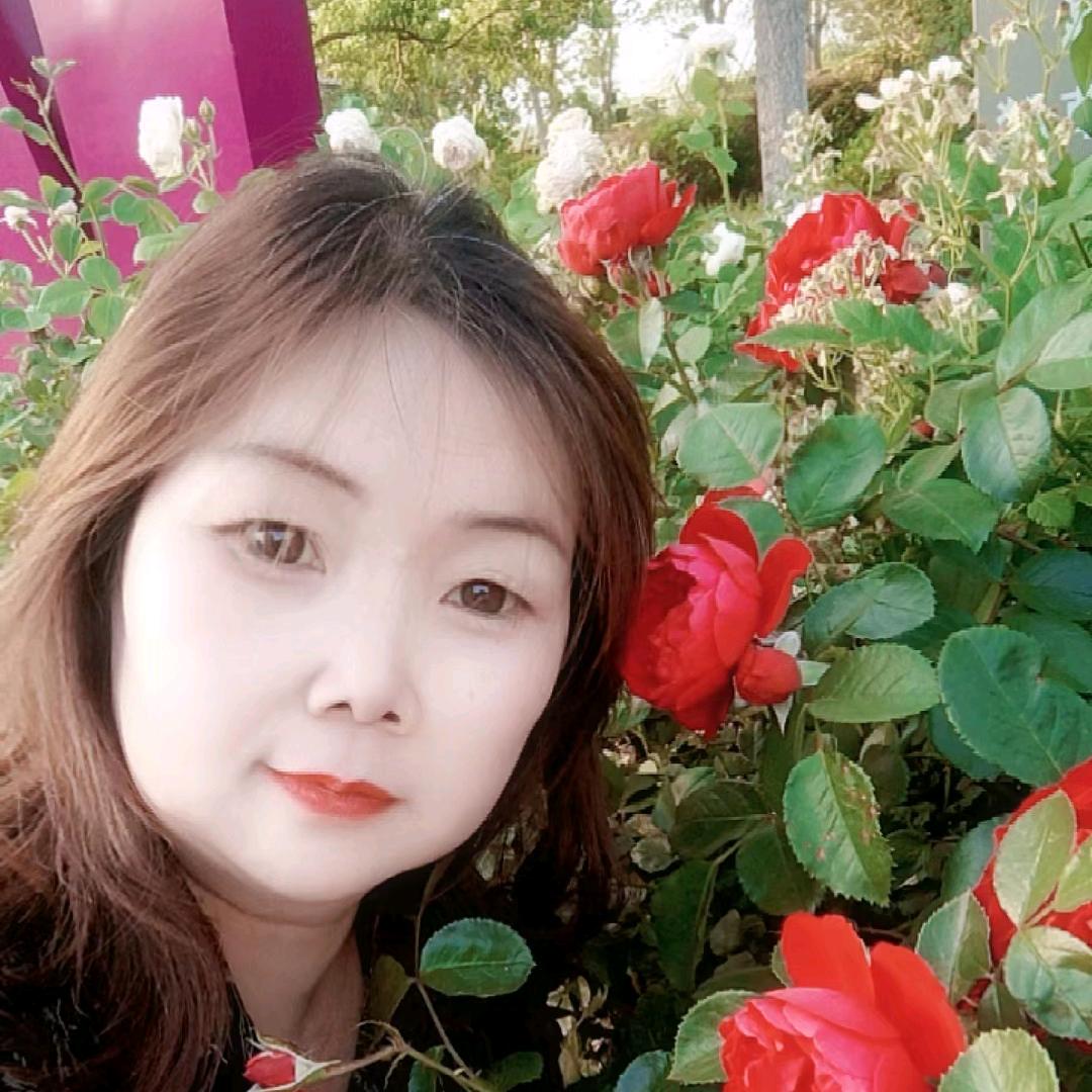 单身贵族