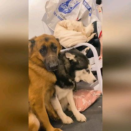 烂兄烂弟联盟🐒