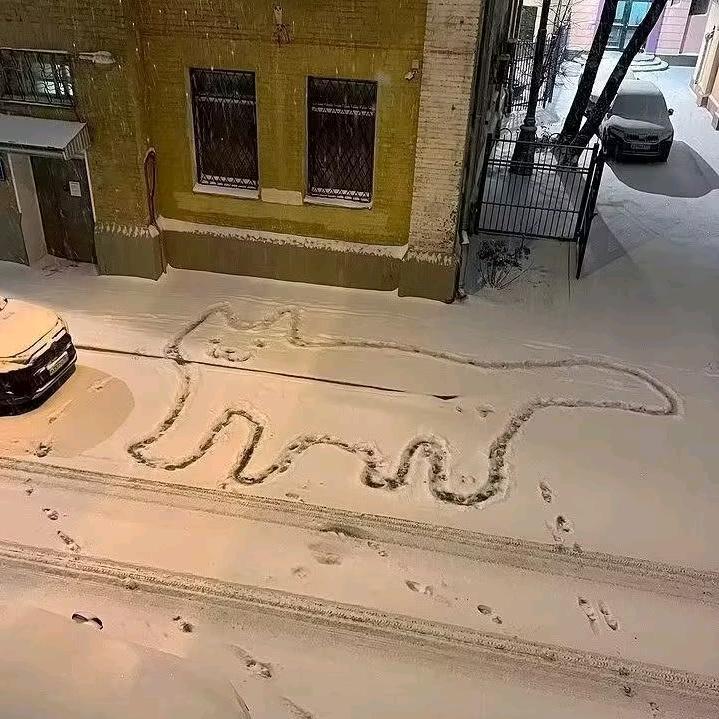 123