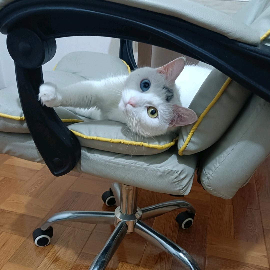 辰