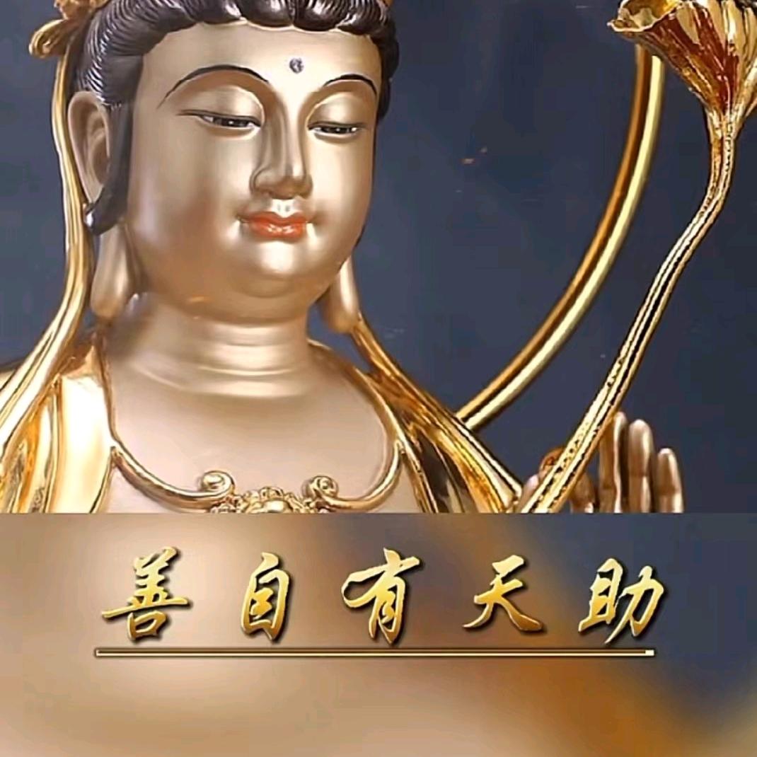 天行健🐯
