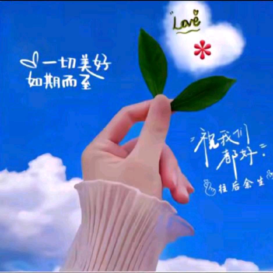 陶醉梦境
