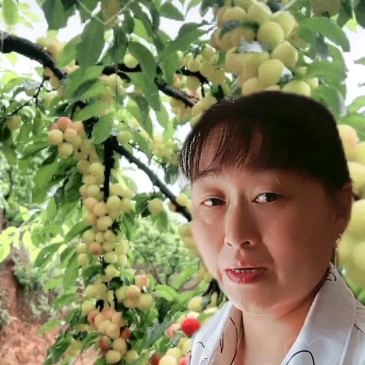 路在何方(张）