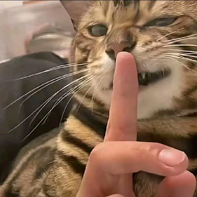 死在回忆里