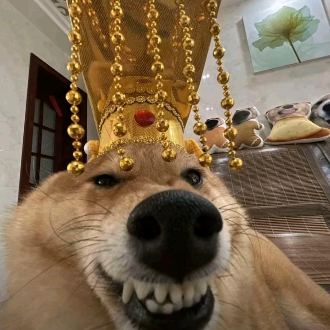 QQQQQQ