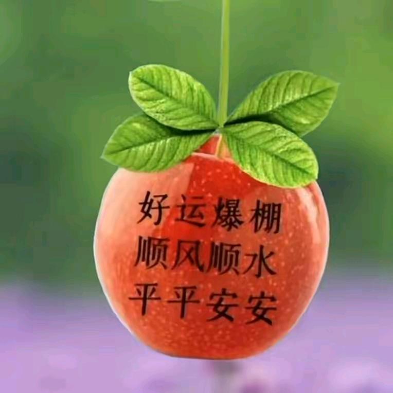 新疆华哥