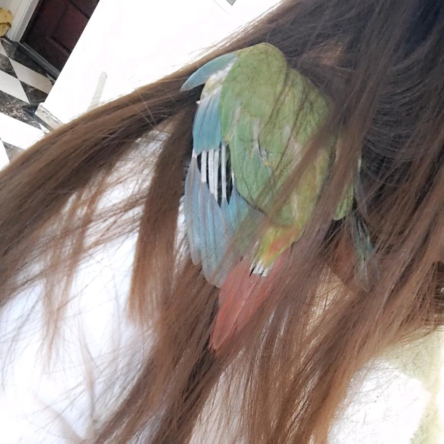 旺仔💕牛奶