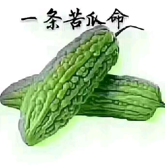 独行